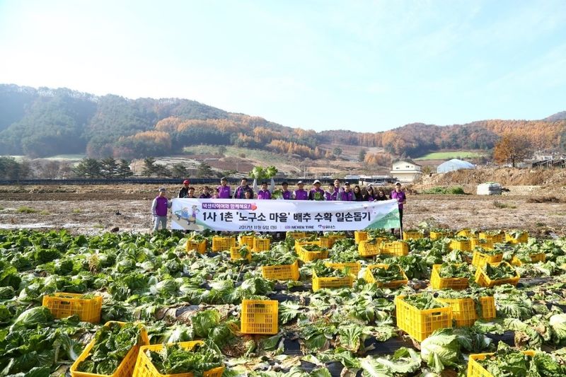 [1사1촌] 노구소 마을 김장배추 수확 봉사