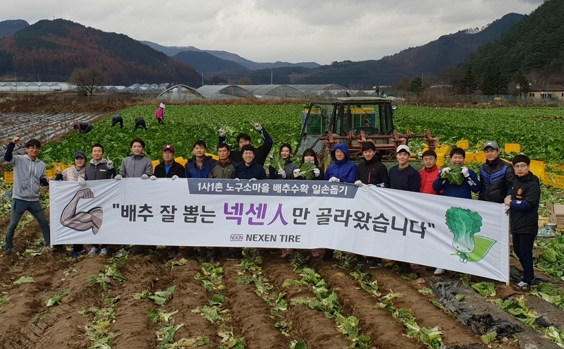 [1사1촌] 2018년 노구소 마을 배추수확 봉사