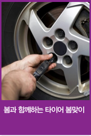 봄과 함께하는 타이어 봄맞이